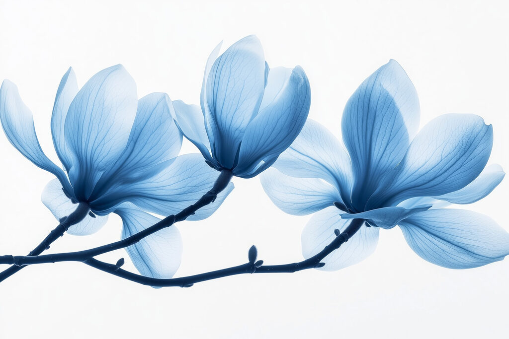 Magnolii albastre pe ramuri — design complet