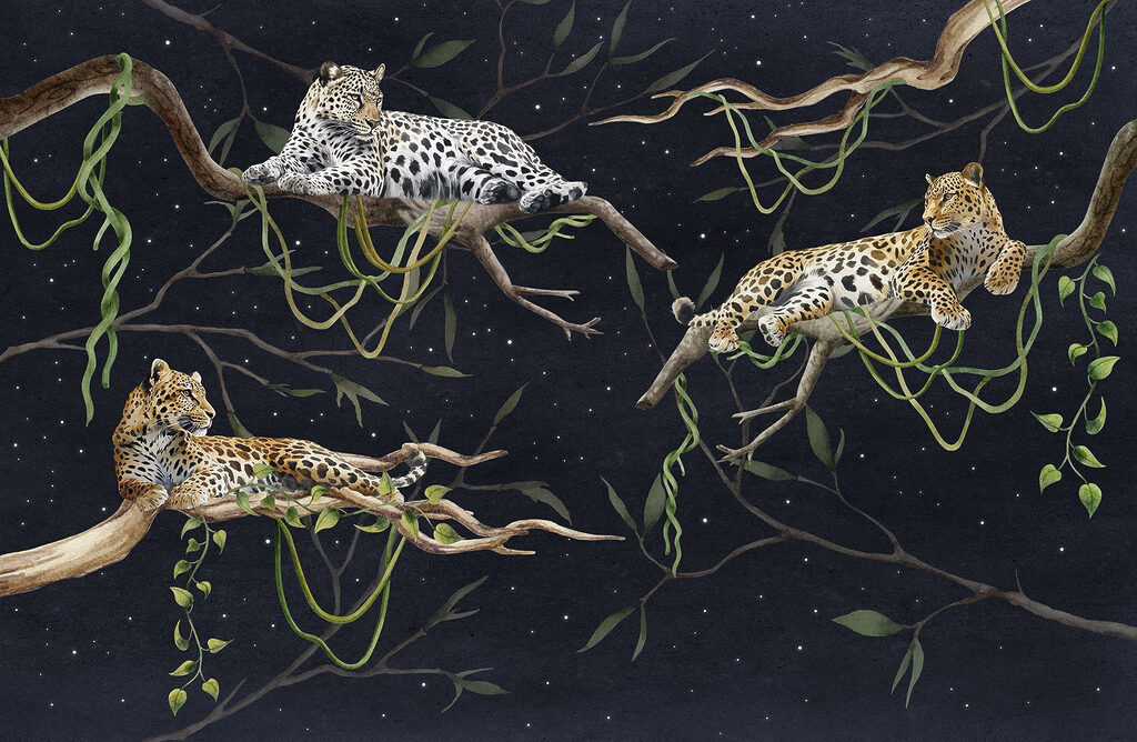 Leoparzi sub cerul înstelat — design complet