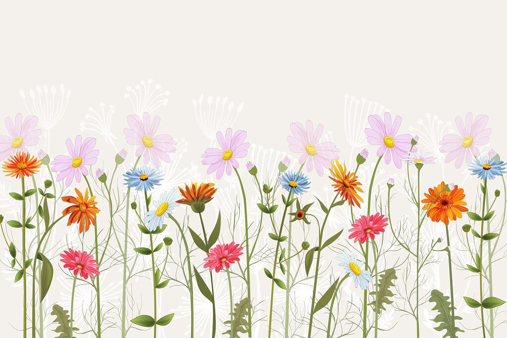 Flori colorate de câmp — design complet