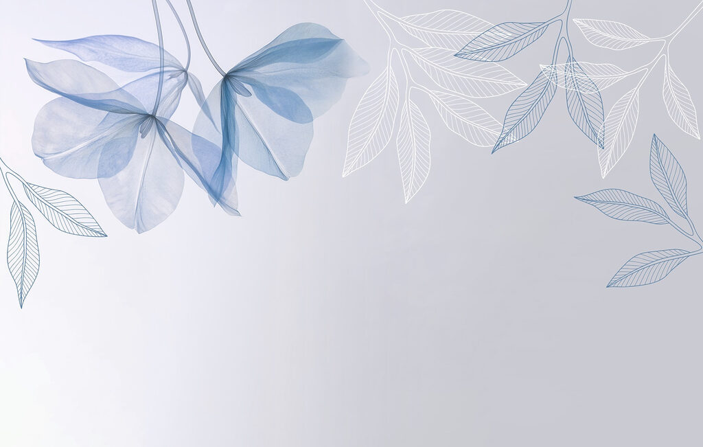 Frunzulițe deasupra spațiului — design complet