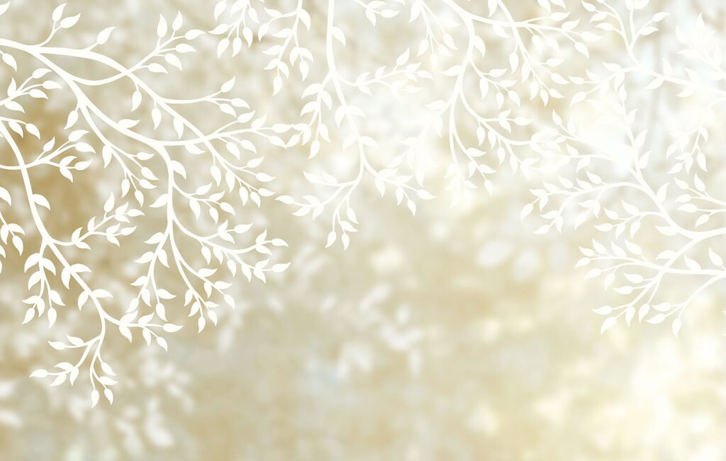 Frunze albe în lumină — design complet
