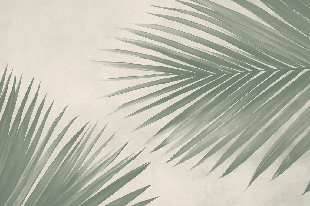 Doi palmieri pe crem — design complet