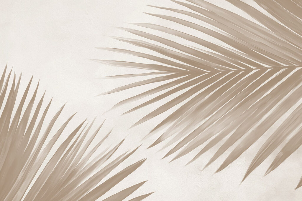 Doi palmieri pe crem — design complet