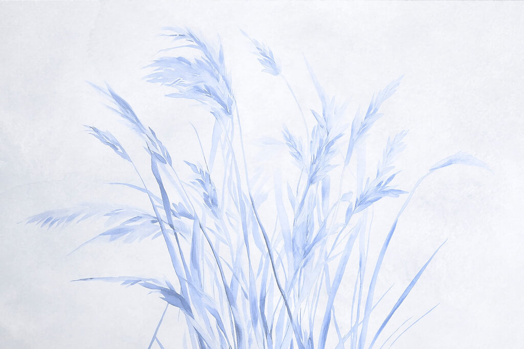 Ierburi delicate — design complet